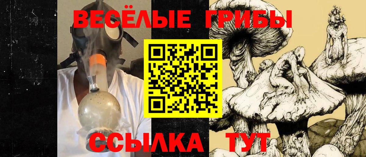Галлюциногенные грибы ЛСД Сальск