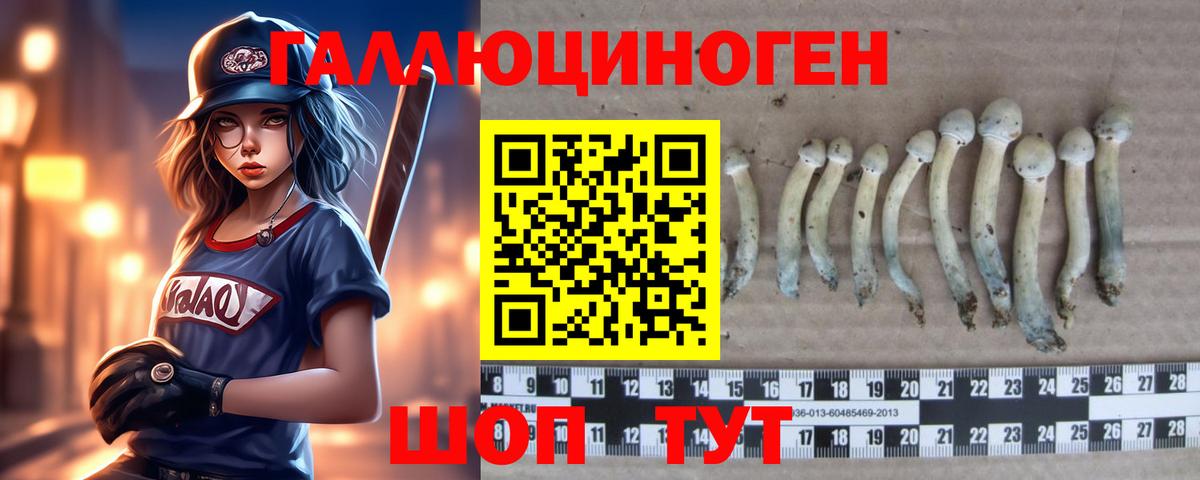 Галлюциногенные грибы Psilocybe  Вход с VPN  Псилоцибиновые грибы прущие грибы  купить   Сальск 